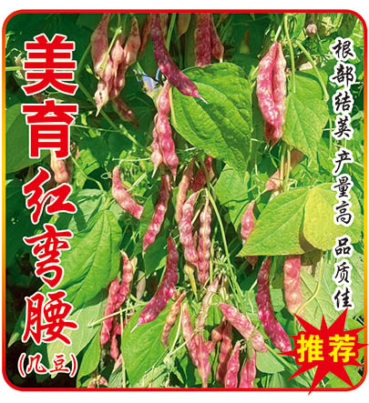 �����t����