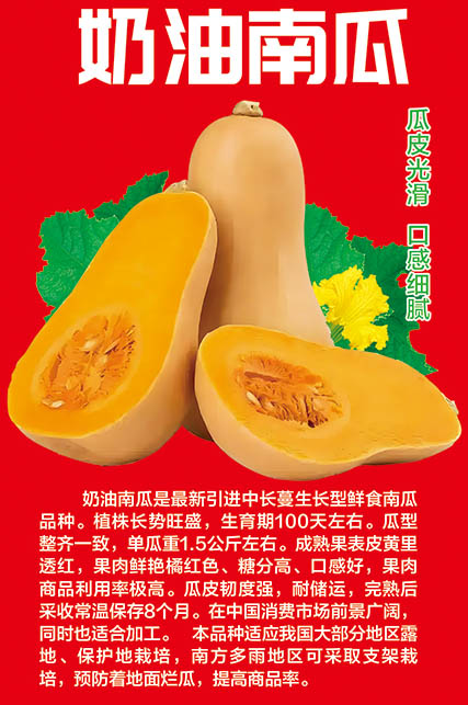 �����S��