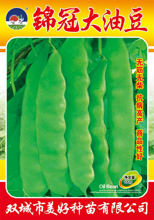 �\�ڴ��Ͷ�