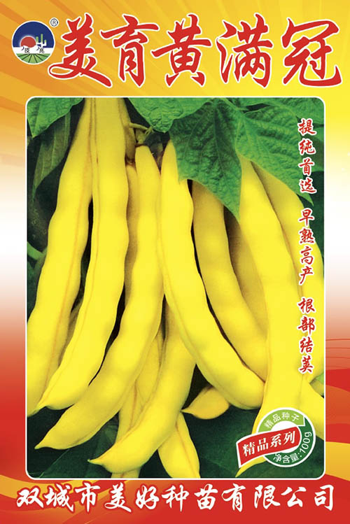 �����S�M��