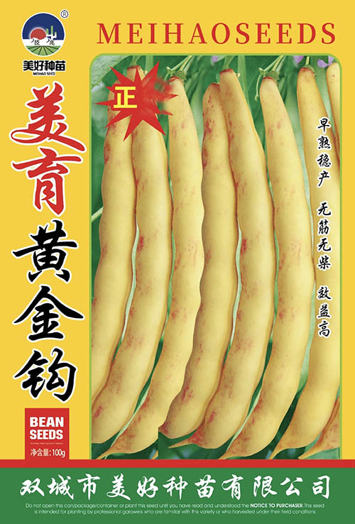 �����S���^